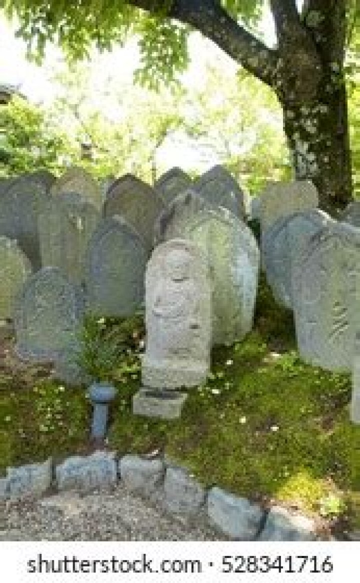 1100yearold Archives - 247 News Around The World