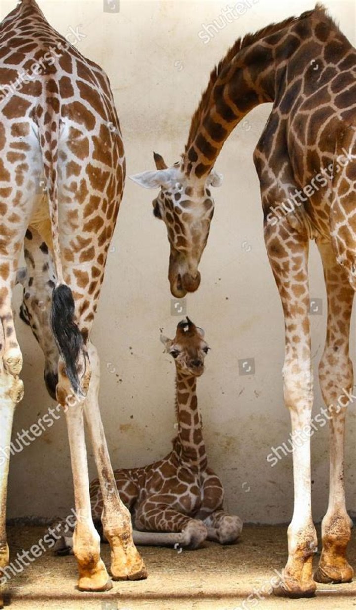 13dayold Archives - 247 News Around The World