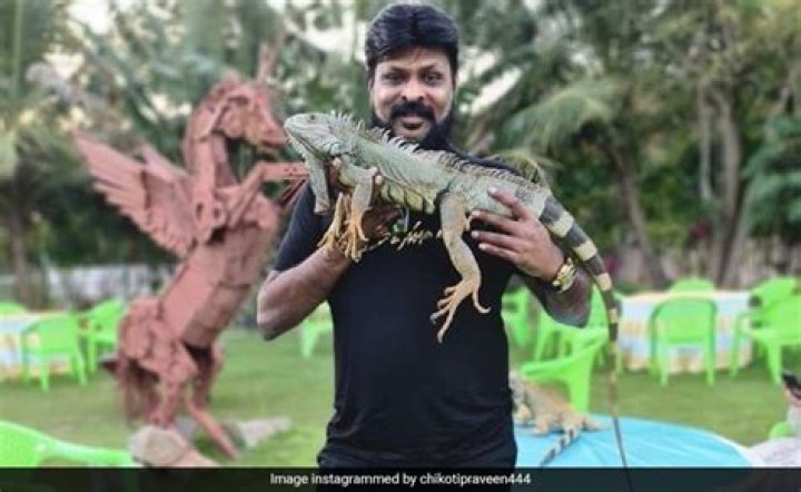 2 Hyderabad Casino Men Raided. Actors, Exotic Animals, Hawala On The Menu