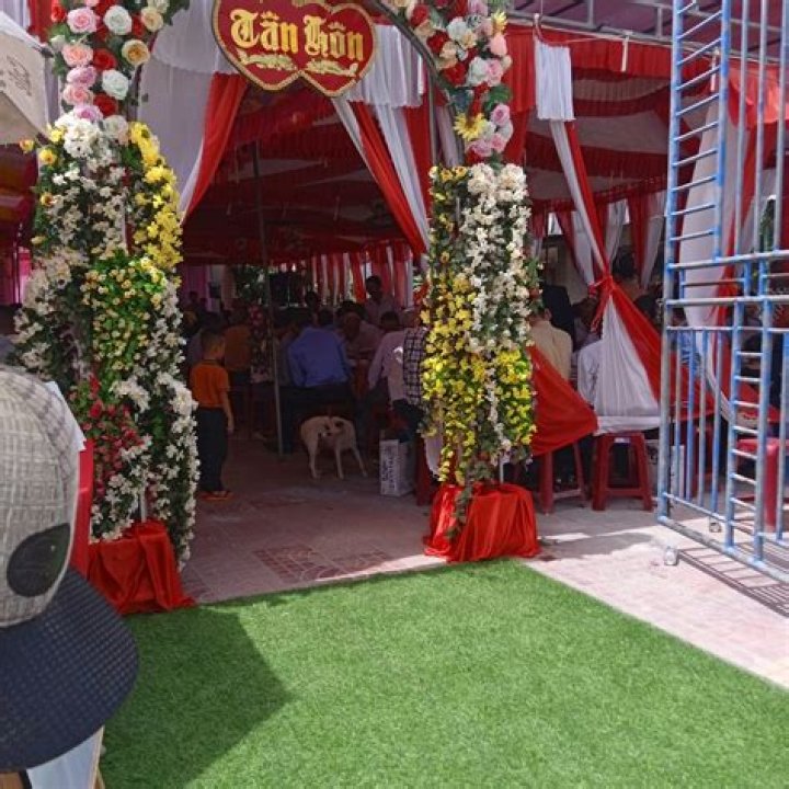 3Q Archives - 247 News Around The World