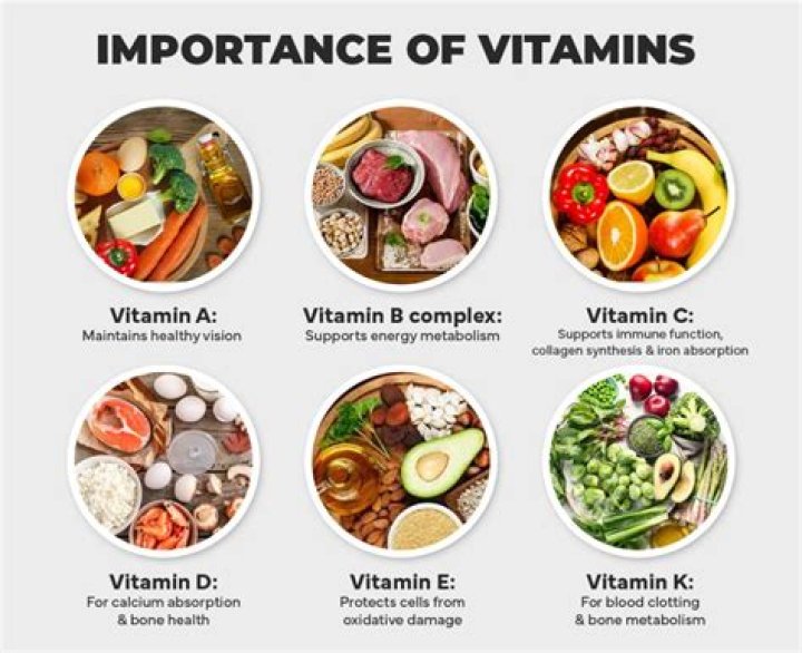 6 Most Useful Facts About Vitamin Intake Archives