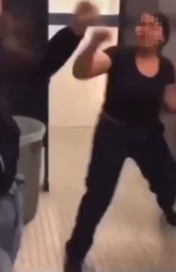 81-year-old NJ woman punches black bear, gets bitten in effort to save her 2 dogs