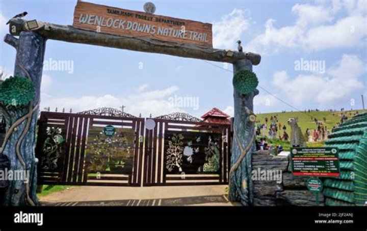 9th Mile Archives - 247 News Around The World