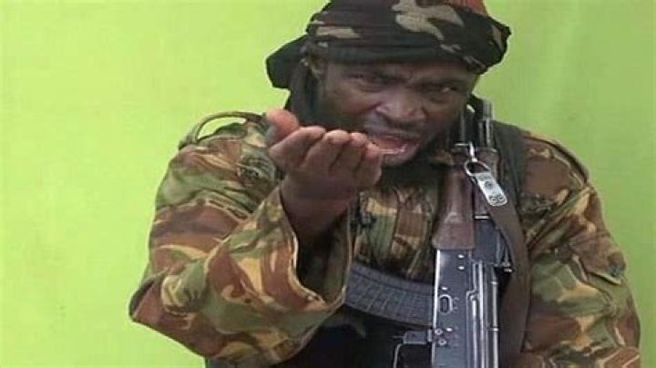 Abubakar Shekau Archives - 247 News Around The World