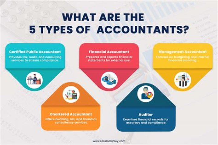 Accountants Archives - 247 News Around The World