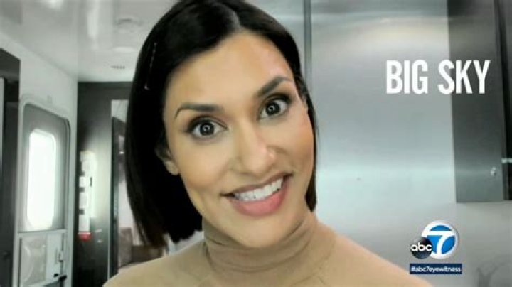 Actress Janina Gavankar says 'Big Sky' offers more twists, turns and jaw-dropping moments as series returns to ABC