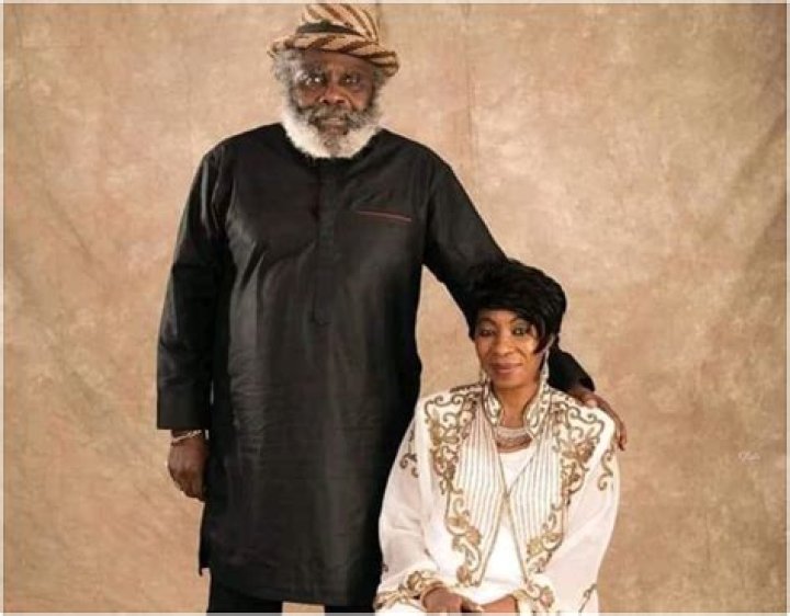 Adolphus Wabara Wife Archives - 247 News Around The World