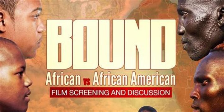 Africans Americans and Media Archives
