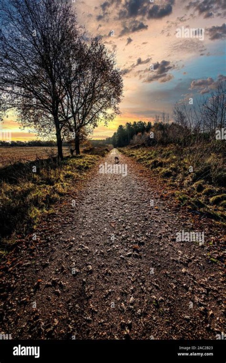 afternoon Archives - 247 News Around The World