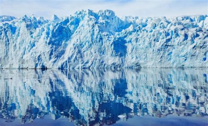 alarming Archives - 247 News Around The World