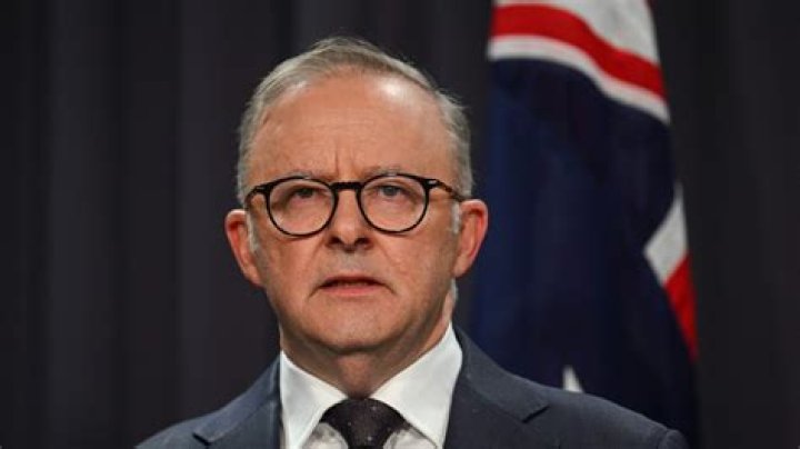 Albanese Net Worth And Salary Today in 2022 Archives