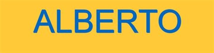 Alberto Archives - 247 News Around The World