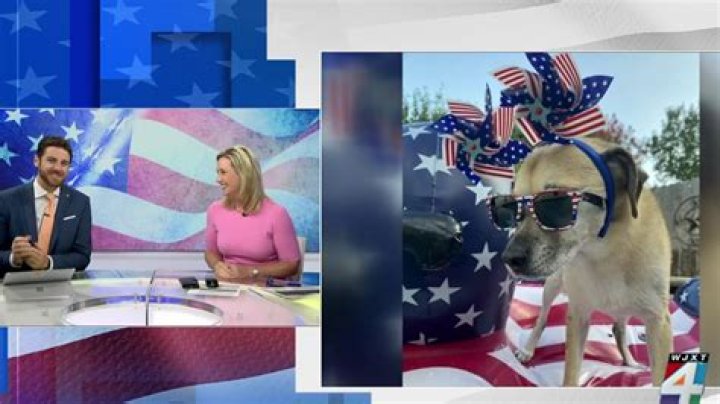 All-American Pet Photo Day: Show us your furry friend on SnapJAX!