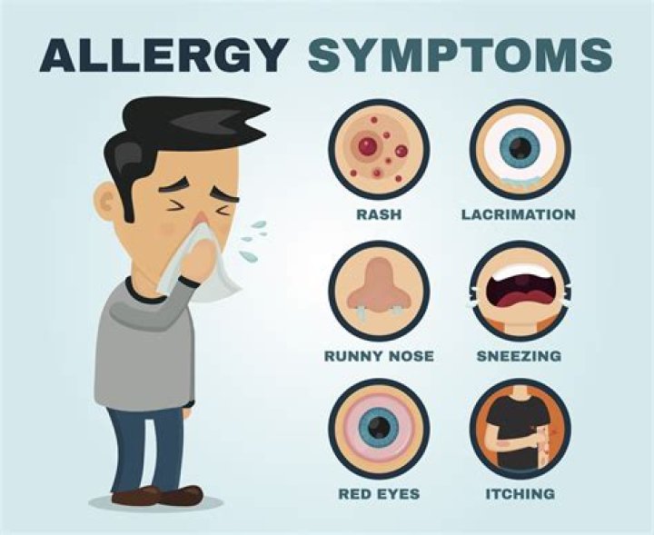 allergy symptoms Archives - 247 News Around The World