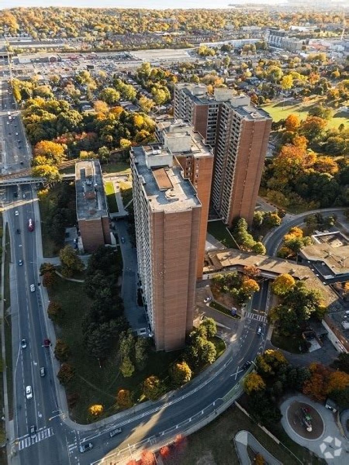 alzheimer society yonge and eglinton Archives