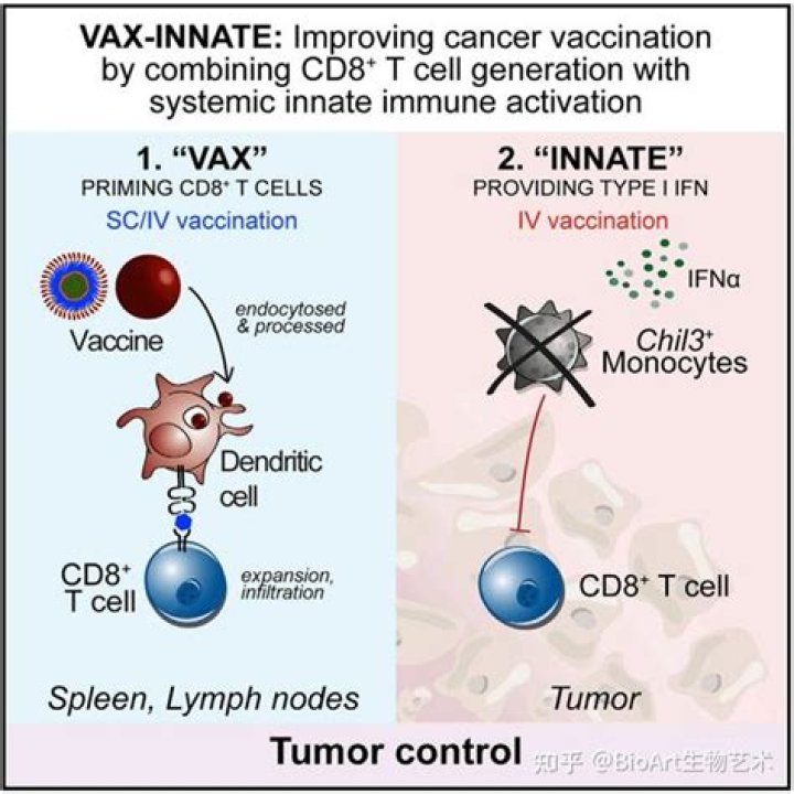 Amazon, research center partner on cancer vaccine