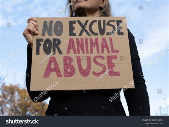 Animal Abuse Archives - 247 News Around The World