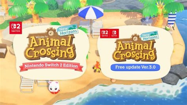 Animal Crossing New Horizons 2.0 Update: How to Buy and Use the Pro Decorating License