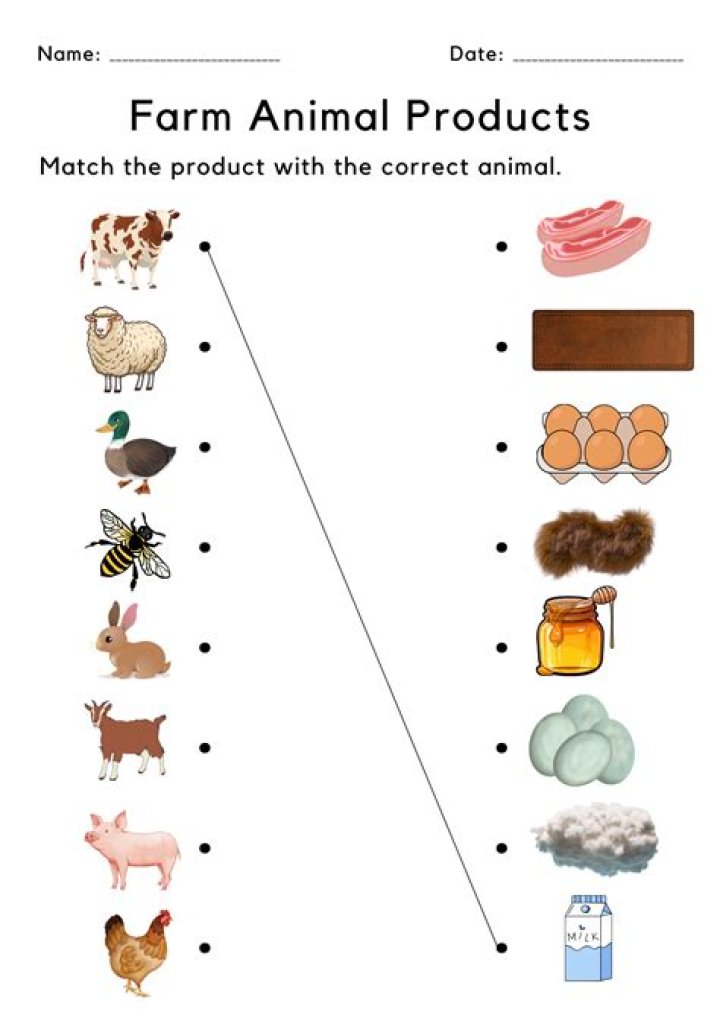 animal products Archives - 247 News Around The World