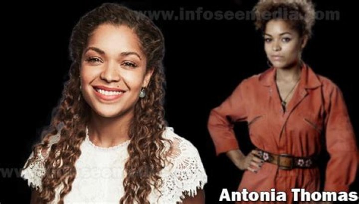 Antonia Thomas - Bio, Net Worth, Personal Life, Husband, Married, Parents, Family, Ethnicity, Nationality, Age, Siblings, Height, Wiki, Size, Career