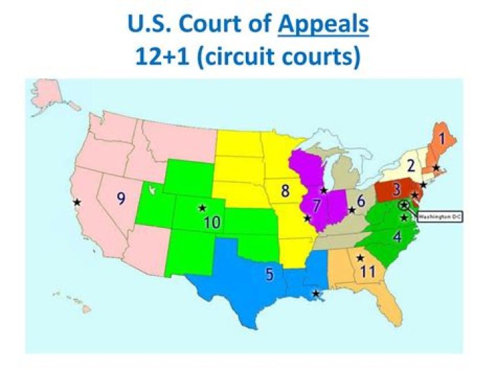 Appeals Courts (US) Archives - 247 News Around The World