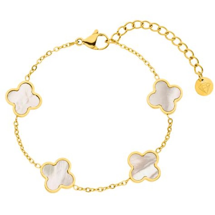 armband Archives - 247 News Around The World