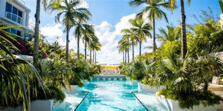 Armie Hammer Is Not Working as a Concierge in the Cayman Islands