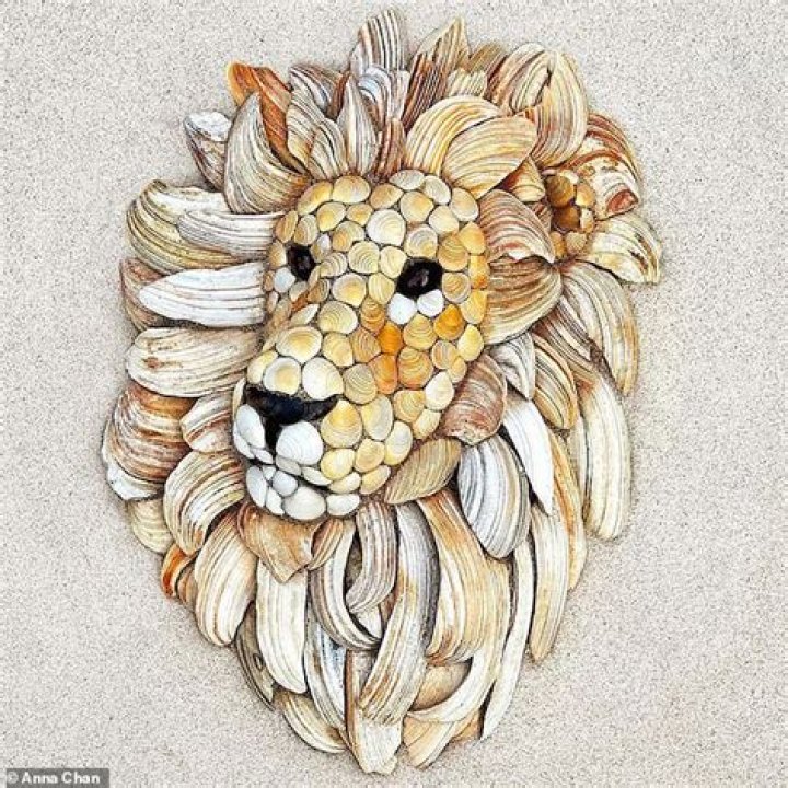 Artist uses seashells of different shapes and sizes to create stunning animal mosaics in the sand