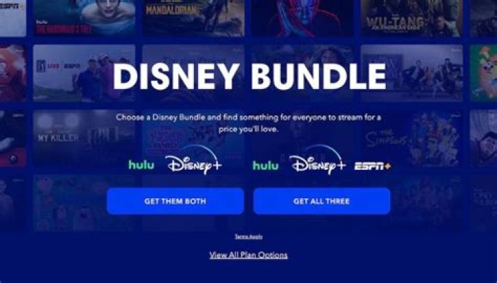 Arts & Entertainment,movie,disney,Coronavirus,movie premiere,marvel,disney+ streaming service Archives