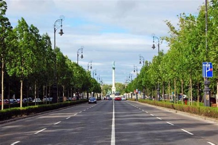 Avenue Archives - 247 News Around The World