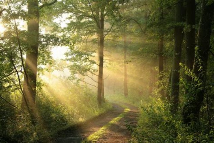 Awe Archives - 247 News Around The World