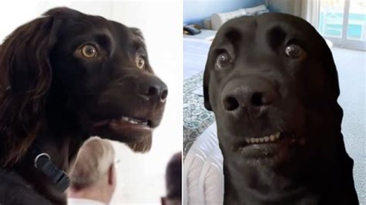 awkwardly Archives - 247 News Around The World