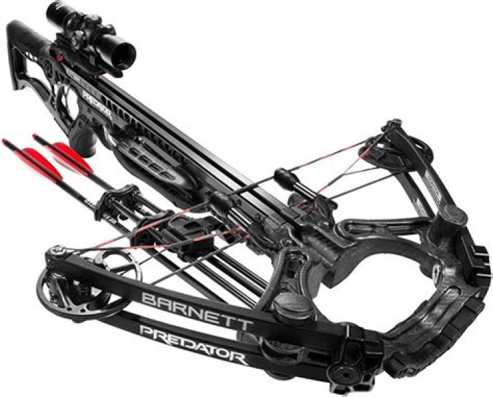 Barnett Archives - 247 News Around The World