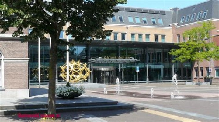 Barneveld Archives - 247 News Around The World