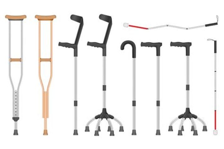 Bastons Archives - 247 News Around The World