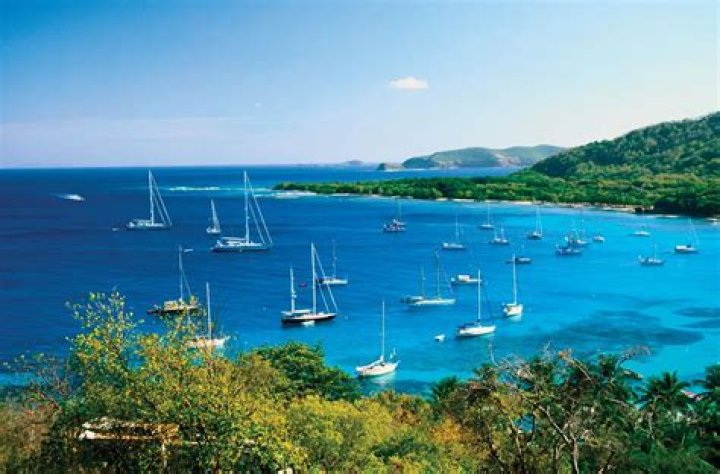 Bays Archives - 247 News Around The World