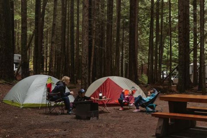 BC camping Archives - 247 News Around The World