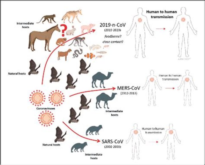 BC coroanvirus Archives - 247 News Around The World