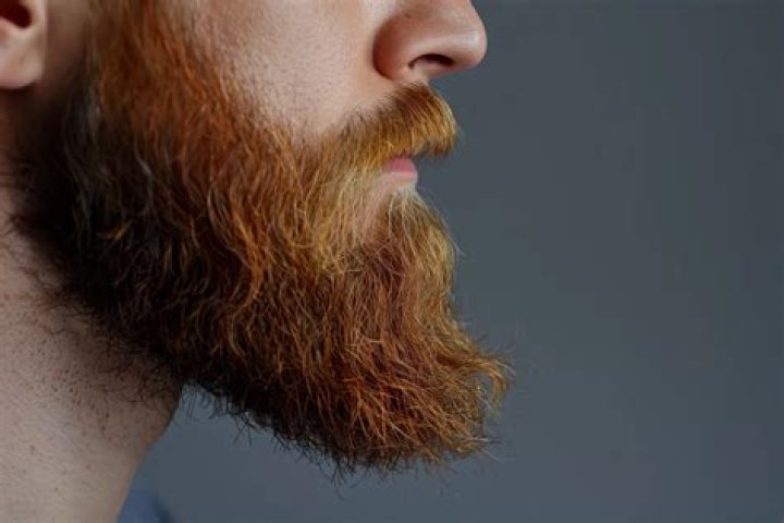 beard Archives - 247 News Around The World