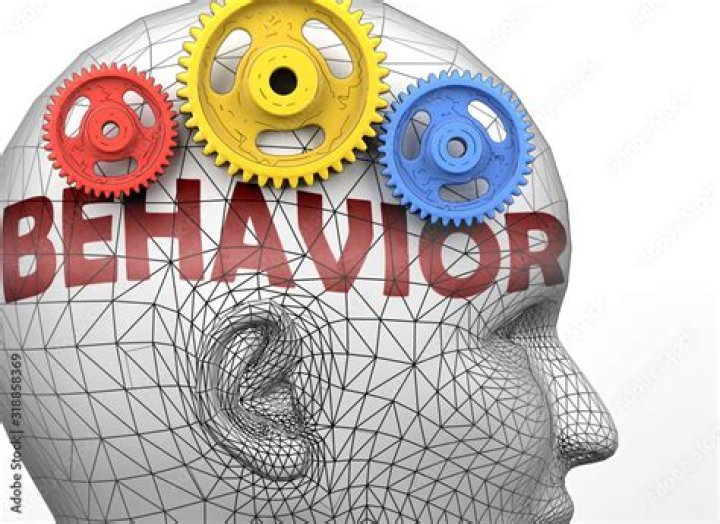 behavior Archives - 247 News Around The World