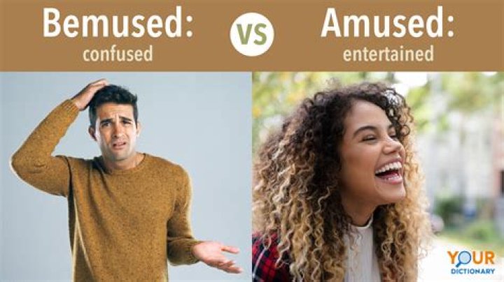 bemused Archives - 247 News Around The World