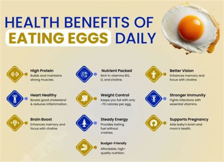 Benefits Of Eating Egg Daily Archives