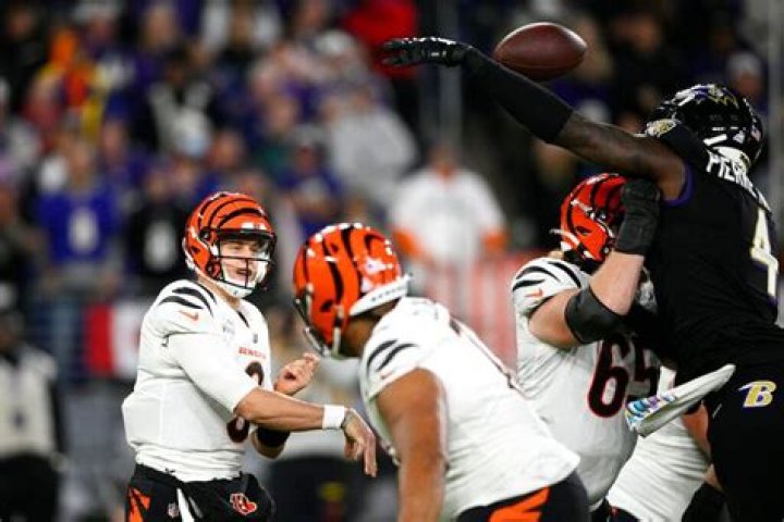 Bengals fan knocks out a man with a brutal HEADBUTT while being led away in handcuffs ahead of Cincinnati's loss to Baltimore Ravens