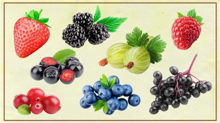 Berries Archives - 247 News Around The World