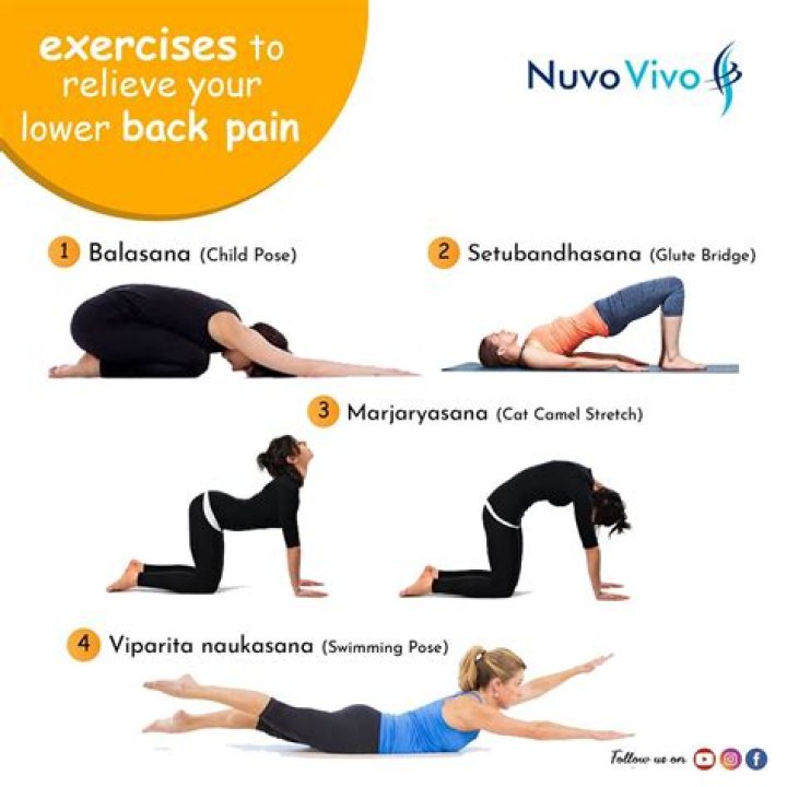 best exercises to get rid of lower back pain Archives