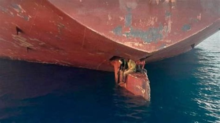 Bethany K. Farber Wrongfully Jailed for 13 Days: Lawsuit