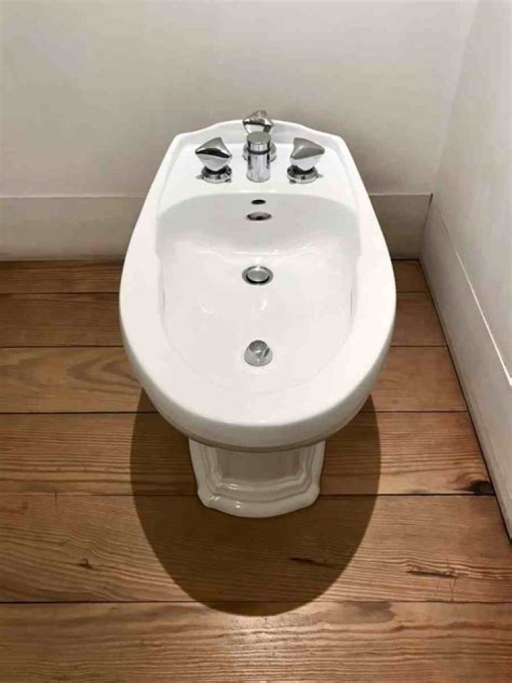 bidets Archives - 247 News Around The World