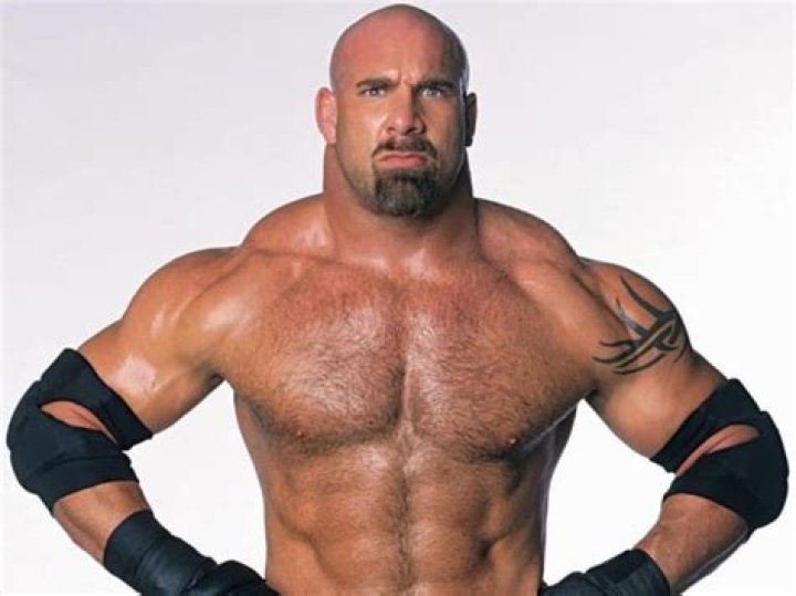 Bill Goldberg Archives - 247 News Around The World