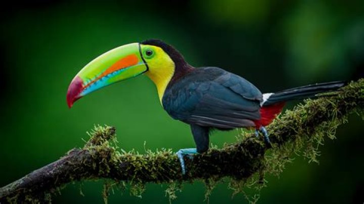 billed Archives - 247 News Around The World