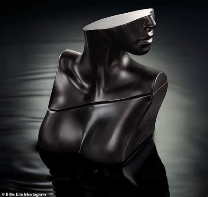 Billie Eilish is dripping wet in black mesh for latest fragrance campaign